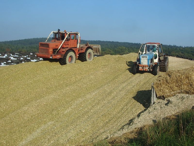 Fortschritt ZT 303 - D und K 700 - A.jpg